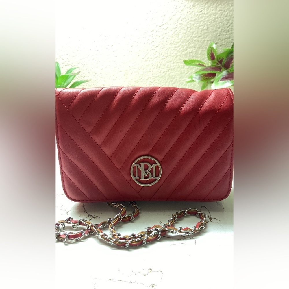 Badgley mischka crossbody purse ♡.